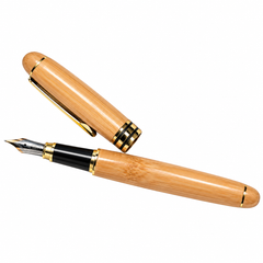 Fountain Pen & Case Set