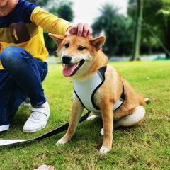 Dog Harness - Large
