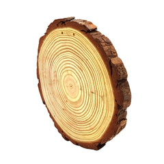 Pine Wooden Slice - 30cm - 35cm
