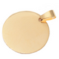 laser engrave pet supplies round dog tag